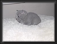 2007-04-30 Katertje Licht Geel 5.JPG